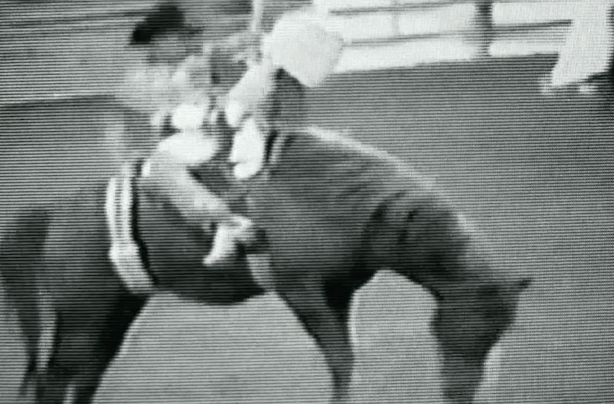 Jared Rogerson video